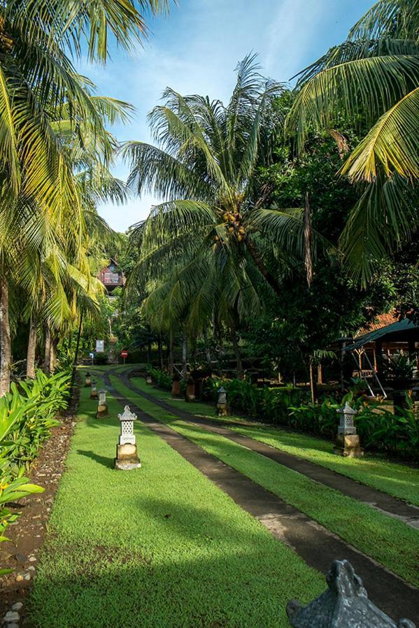 Bella Vista Premium Homestay Banyuwangi  Exterior photo